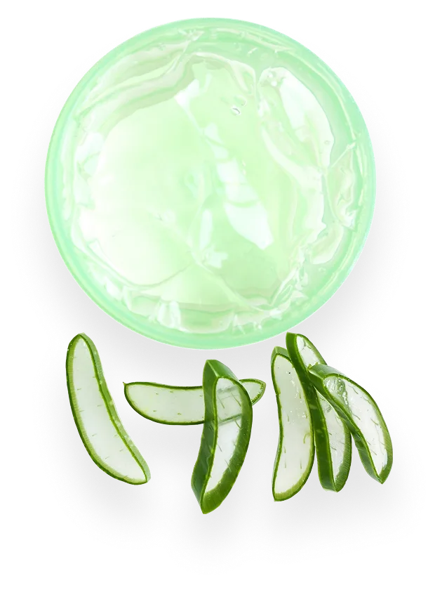 Aloe Vera - The Calming Cooler