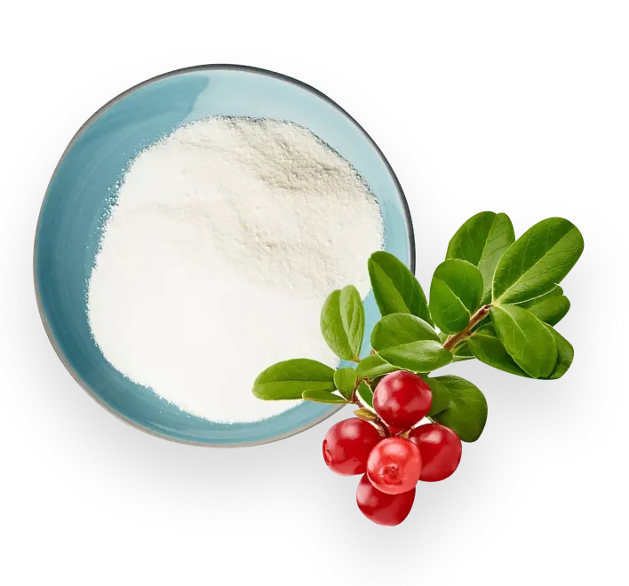 Arbutin - Gentle, Time-Release Protection