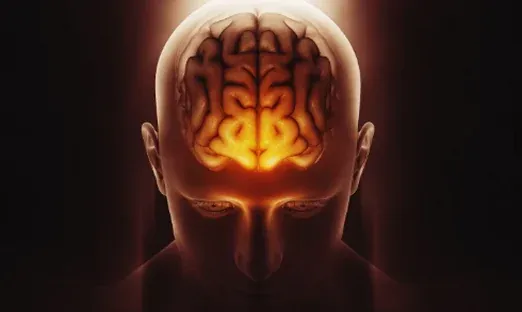 Illustration of an active brain