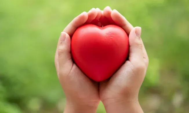 Hands holding a red heart