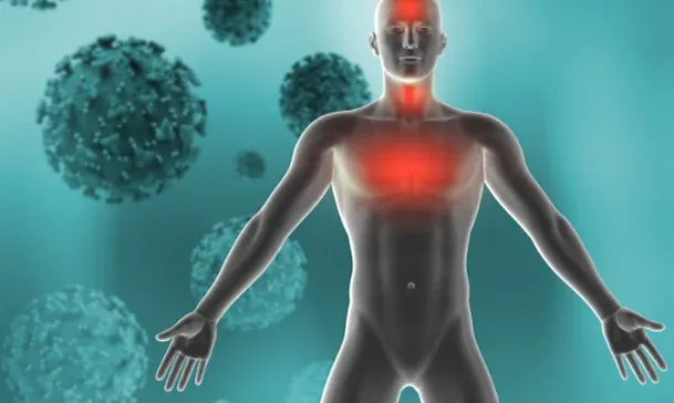 Illustration of the immune system