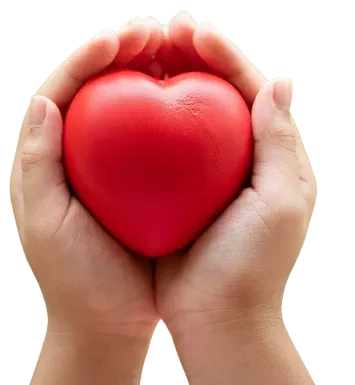 Hands holding a red heart