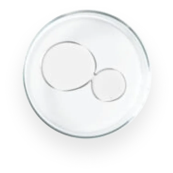 Dermaxyl - Moisture Lock and Overnight Barrier Repair