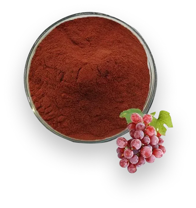 Grapeseed Extract - To Reinforce Elasticity