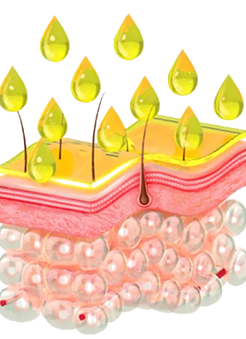 Skin Tighten and Moisturize