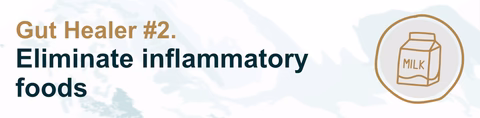 Gut Healer #2. Eliminate inflammatory foods
