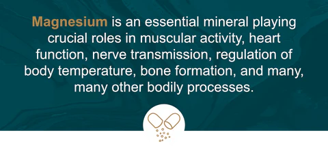 Magnesium is an essential mineral playing crucial roles in muscular activity, heart function, nerve transmission, regulation of body temperature, bone formation, and many, many other bodily processes.