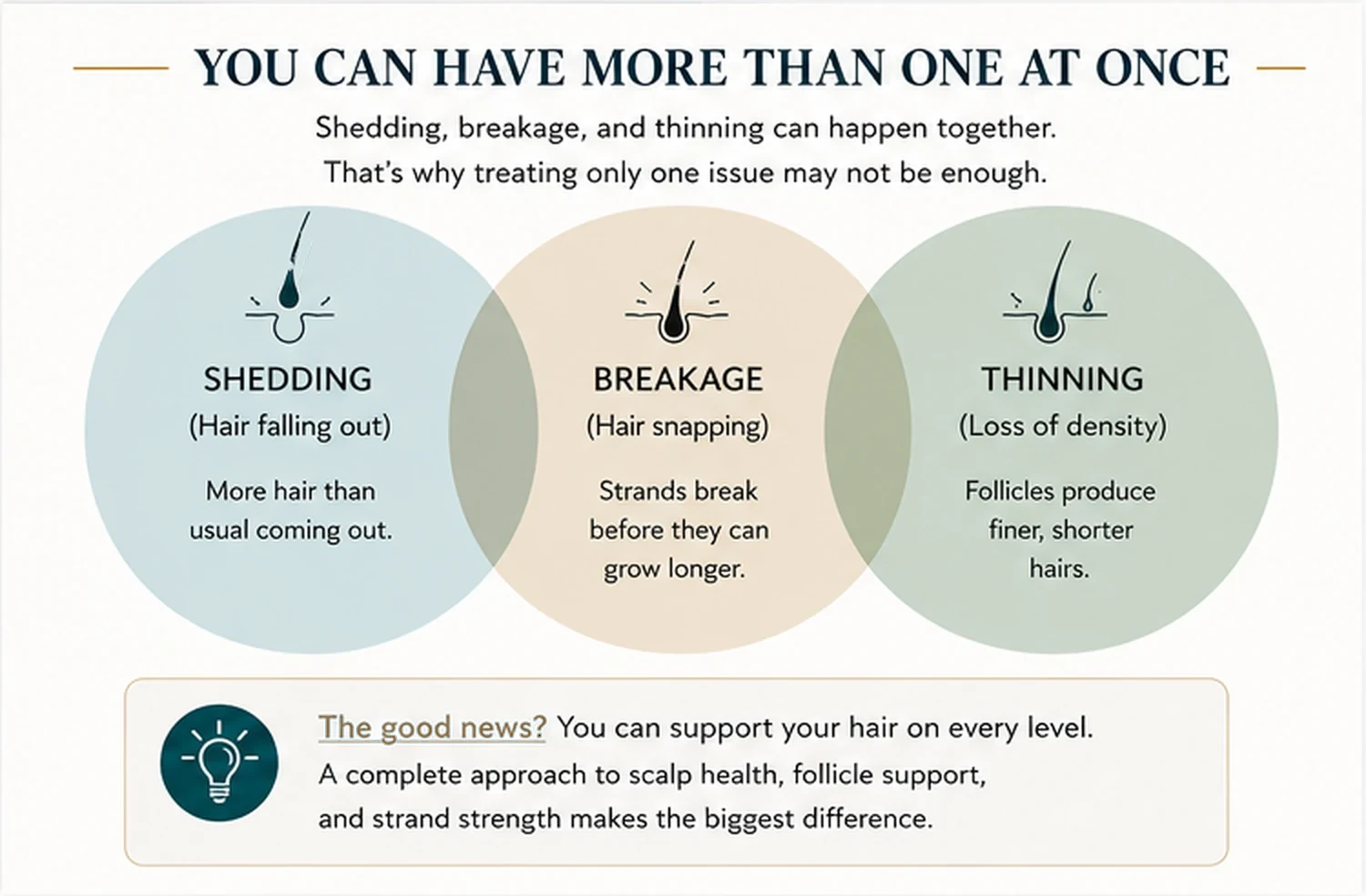 Three overlapping circles labeled shedding, breakage, and thinning, showing that hair concerns can happen together.