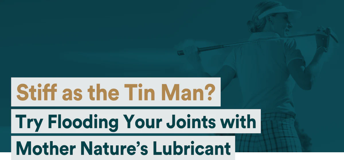 Keep Your Joints Loose As a Goose With “Mother Nature’s Lubricant”
